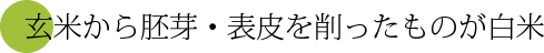 玄米から胚芽・表皮を削ったものが白米