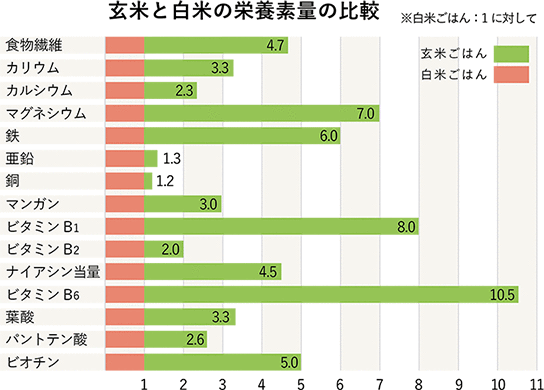 栄養素