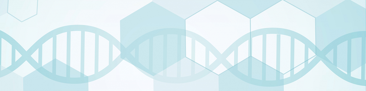 {l̈`qɍXgXΏ@@XłZtPA T̃|Cg