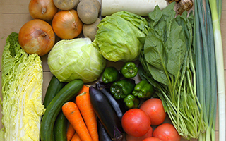 ubR[ǉuw؁vĉHg߂Ȗ؂̃p[m낤I