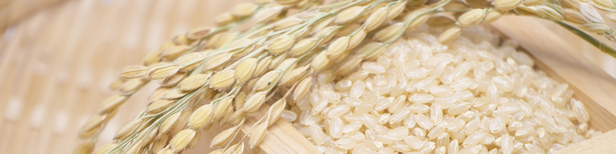 Ăʂ𔭍yƃtF_14{ɁIĔyTv̌Ň