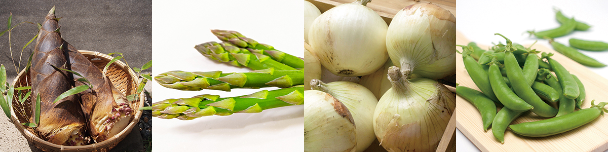 t؂ŃfgbNXI~ɗ܂Vpǂo