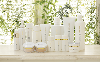 ΖRsgpE^̋PoϕiuO[EXV[YvS\