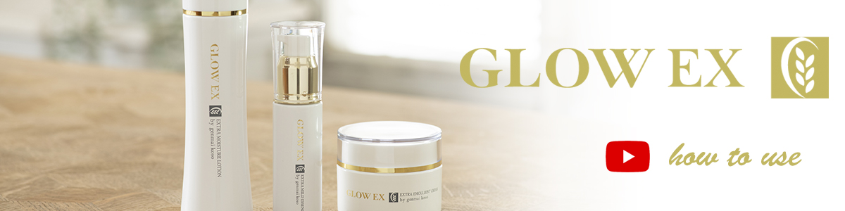 ΖRsgpE^̋PoϕiuO[EXv̎g𓮉ŉI