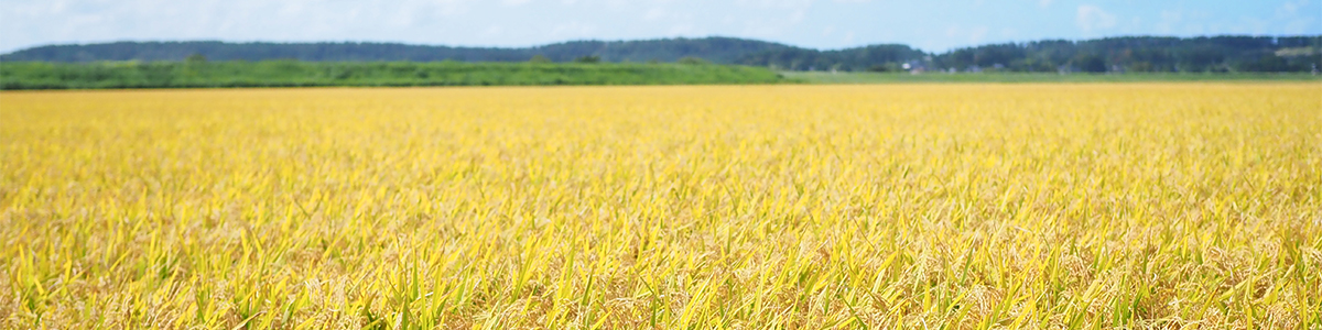 �u�Ă̍��v�j�b�|���̍�����U��Ԃ��Ă݂܂��傤