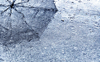 �~�J���̎��x����C�����N�����s���ƐH���łł���΍�