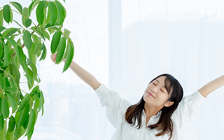 �N���ɂ������߁u3�̃f�g�b�N�X�v