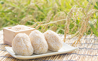 ���Ẵ��W�X�^���g�X�^�[�`���������𐮂���