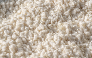 ���i�������j���ĂȂɁH�����g�������y�H�i