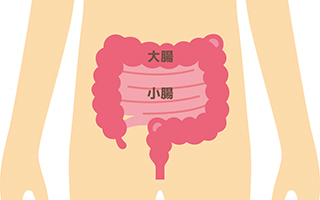 ���ɂ́g��h�Ɓg���h������