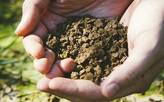 �g�̂Ɠy�͈�́I�{�����������u�g�y�s��v�̍l����