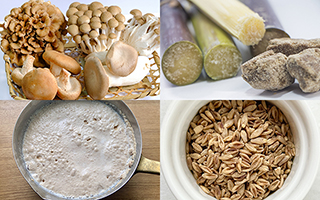 �b��̐����u���O���J���v�Ƃ́H������H�i�A�����̗��j������I