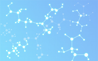 �u�K�{�A�~�m�_�v��u�A�~�m�_�X�R�A�v�Ǝ��ɂ��邯�ǁA�A�~�m�_���Ăǂ�Ȃ��́H