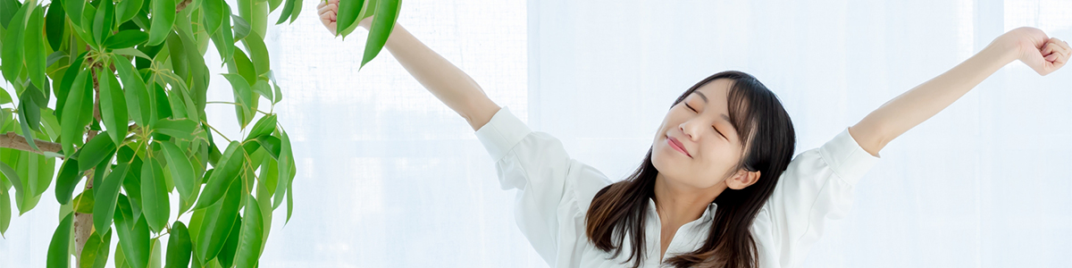 �N���ɂ������߁u3�̃f�g�b�N�X�v