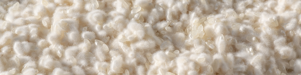 ���i�������j���ĂȂɁH�����g�������y�H�i