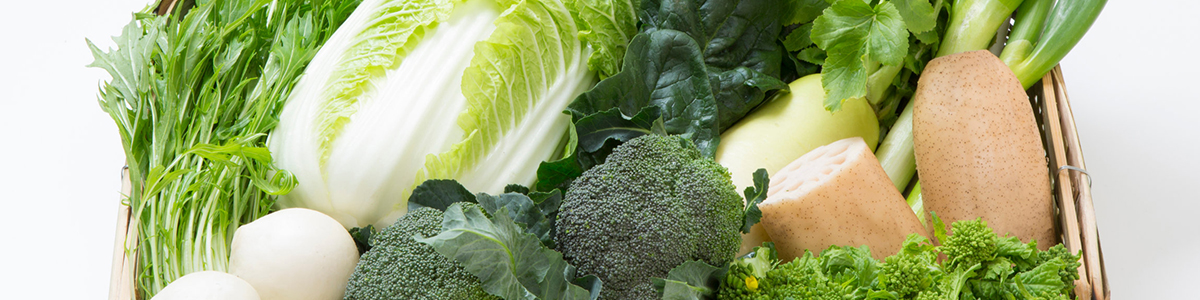 �~��ؓ��W�I�{�������ꂽ�H�����̂�����