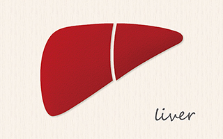 �f�g�b�N�X�S���̓����ҁE�̑���J�낤