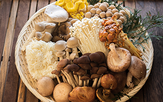 �{�̂��̂�������������N�ɐH�ׂ悤�I