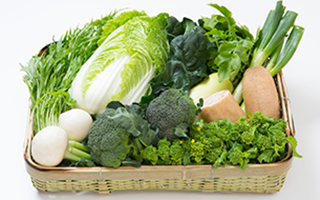 �~��ؓ��W�I�{�������ꂽ�H�����̂�����