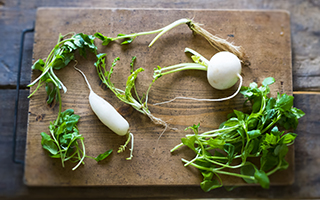 �������Ŕ�ꂽ�ݒ����x�܂��܂��傤