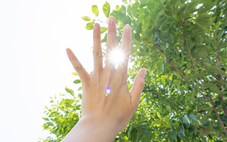 �����͎����̎�̒��ɂ��� �`���Б�\�E�����̃��b�Z�[�W�`