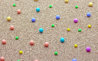 ���ł�����r�^�~���E�z������