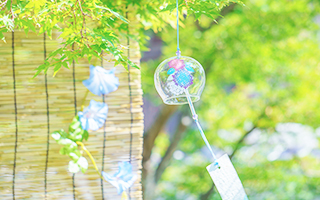 �܊����h�����ď��������؂�I�H����h�{�̃|�C���g���Љ�