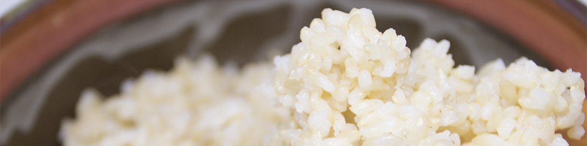 �����������Ă𐆂��Ă݂܂��傤�I�y���͓�E�y��E���ъ�z