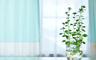 �X�N���́u�炢�v��������Ȃ��A���ꂩ��̌��N���l�����؂Ȏ���