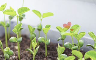 �C�����𗧂Ē����������ɐH�ׂ����H�ނƁA�����_�o�̃o�����X��ۂR�c