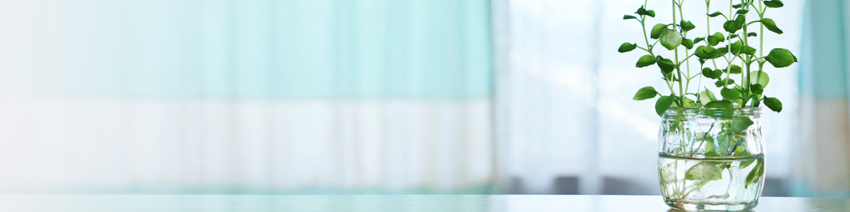 �X�N���́u�炢�v��������Ȃ��A���ꂩ��̌��N���l�����؂Ȏ���