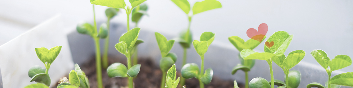 �C�����𗧂Ē����������ɐH�ׂ����H�ނƁA�����_�o�̃o�����X��ۂR�c