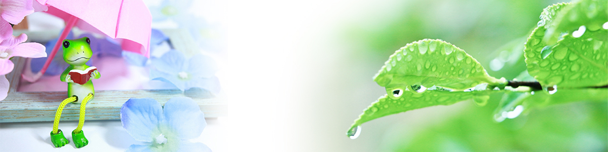 �~�J�����ɑ����u�V�C�Ɂv�Ƃ́H