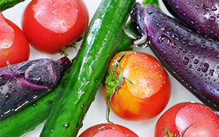 �{�̖�؂ŉăo�e�h�~�I�������ߐH�ނ����Љ�