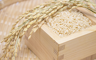米ぬかを発酵させるとフェルラ酸が14倍に！玄米発酵サプリの健康成分の研究