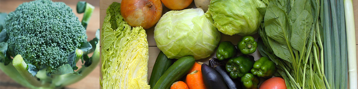 ブロッコリーが追加される「指定野菜」って何？身近な野菜のパワーを知ろう！
