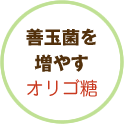 Pʋۂ𑝂₷IS