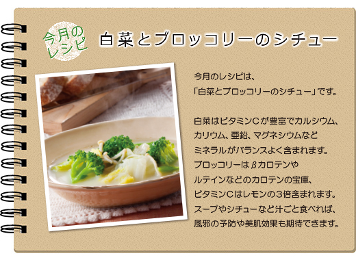 今月のレシピ：白菜とブロッコリーのシチュー