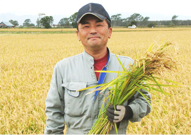 北海道産、農薬不使用（栽培期間中）の玄米を使用、放射能検査も実施