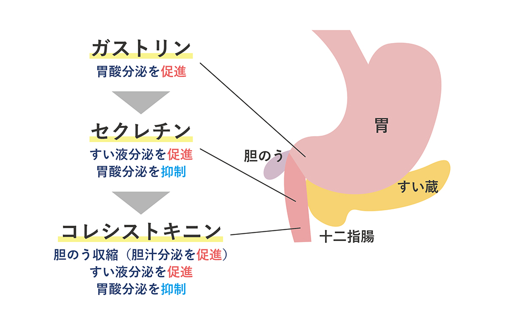 再燃中の運動のリスク